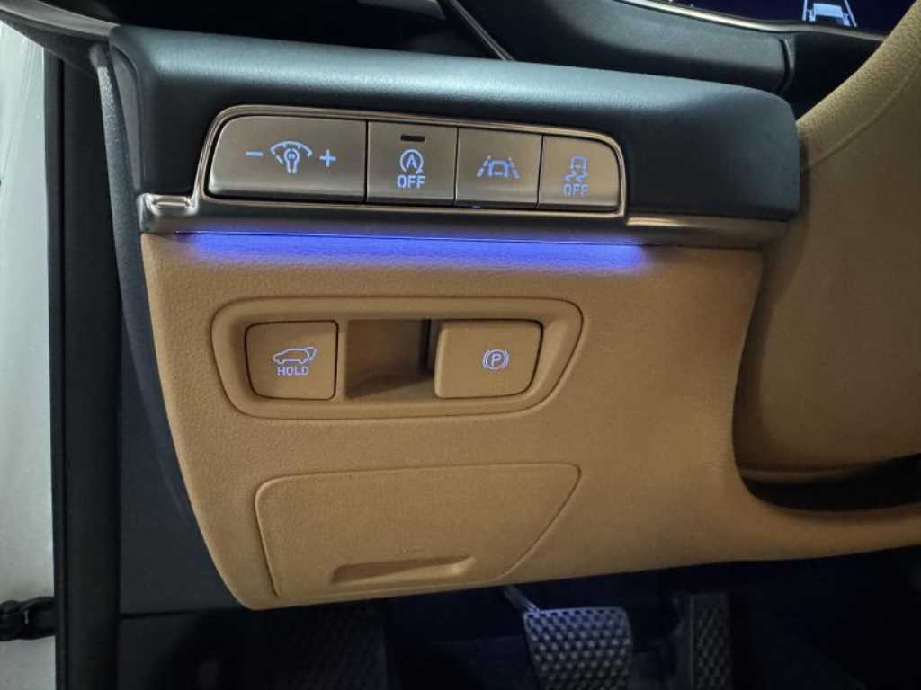 Genesis GV80 - Vista 11