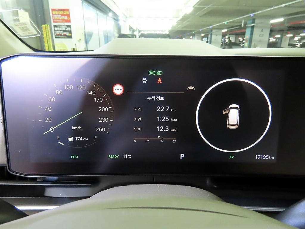 KIA Carnival - Vista 9