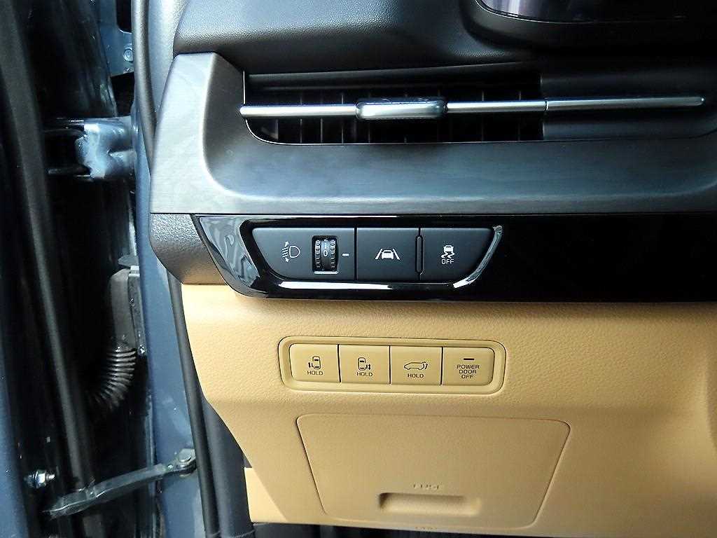 KIA Carnival - Vista 11