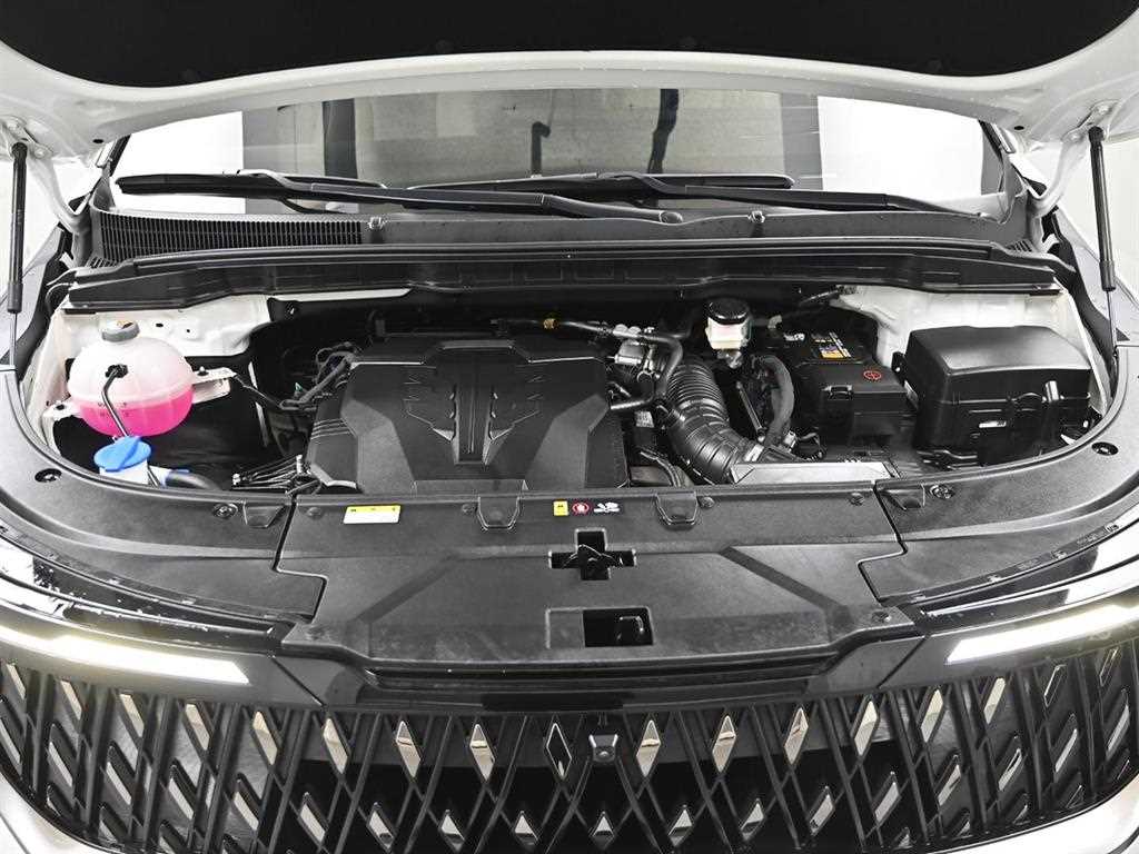 KIA Carnival - Vista 5