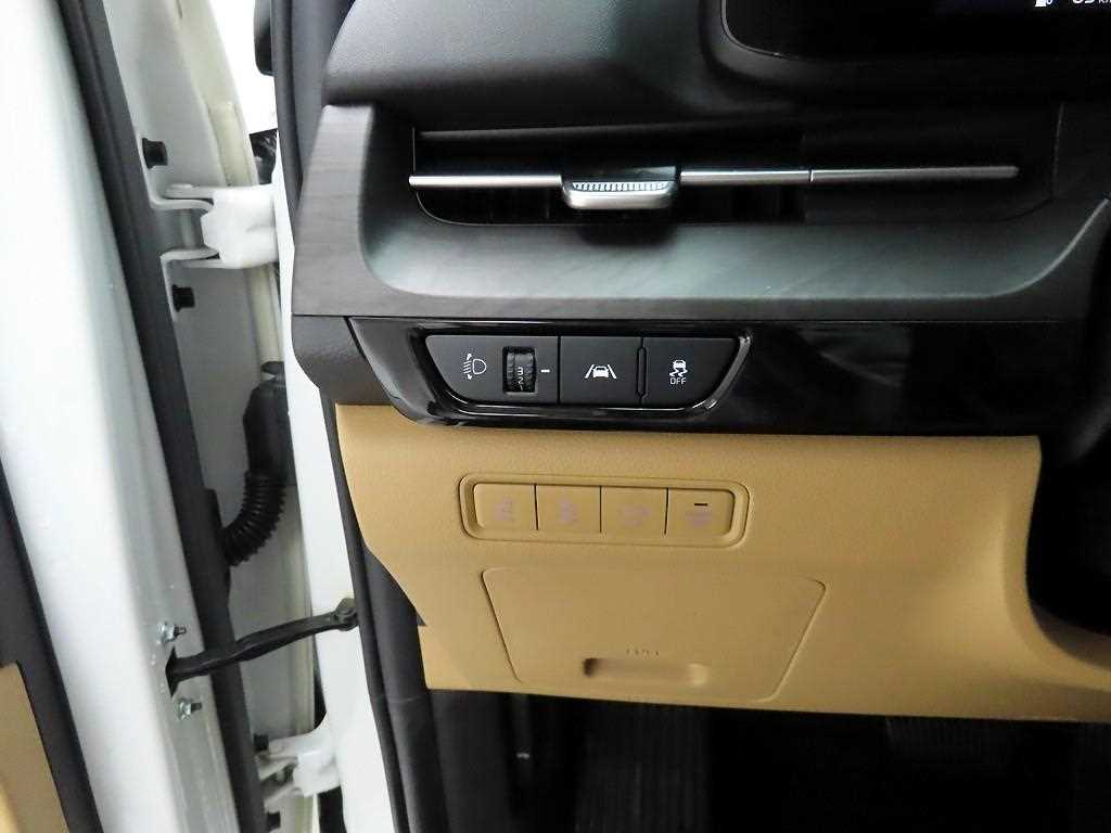 KIA Carnival - Vista 12