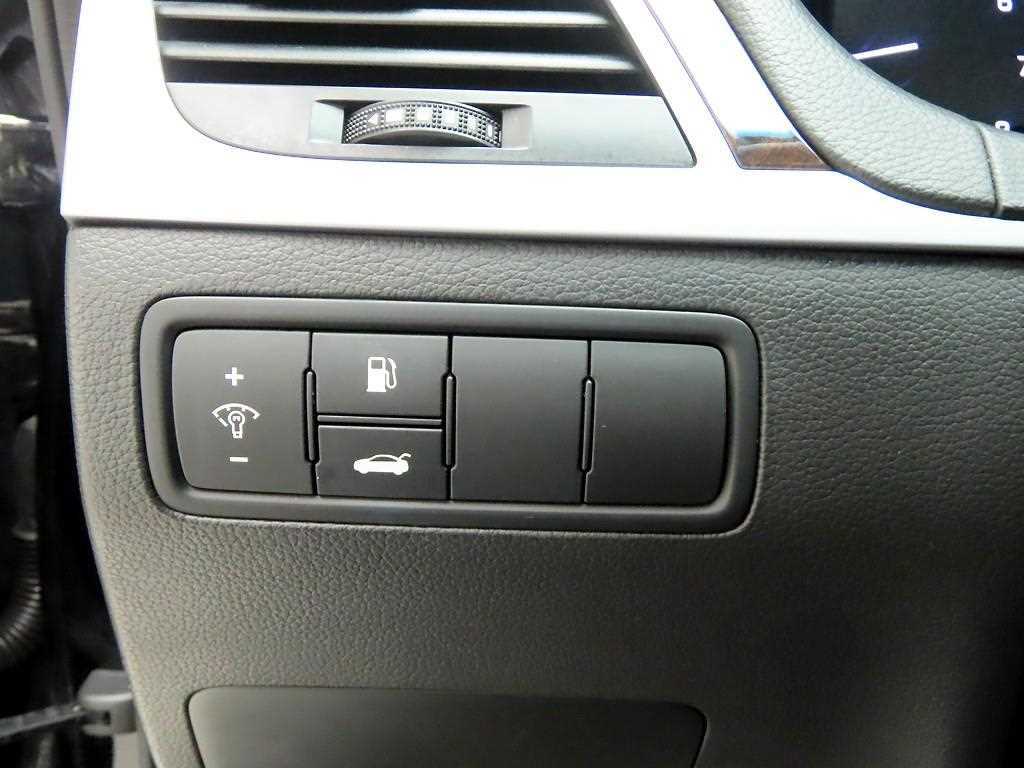 HYUNDAI Genesis - Vista 12