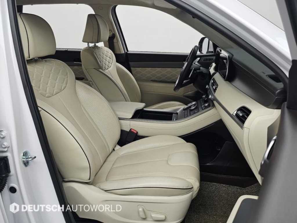 HYUNDAI Palisade - Vista 10