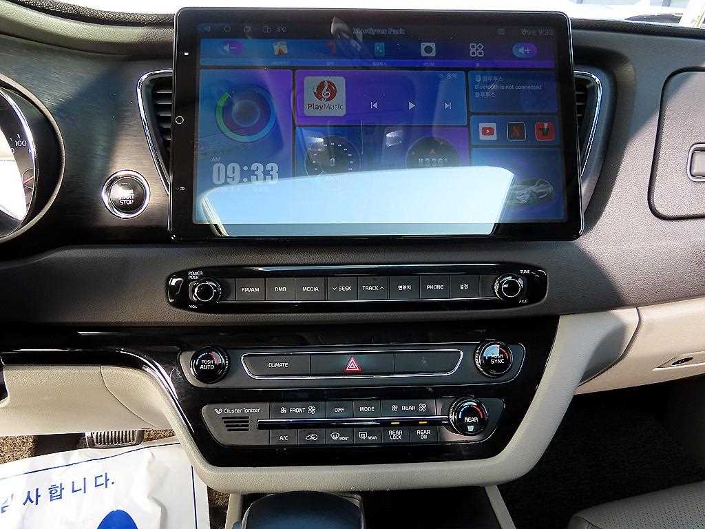 KIA Carnival - Vista 12