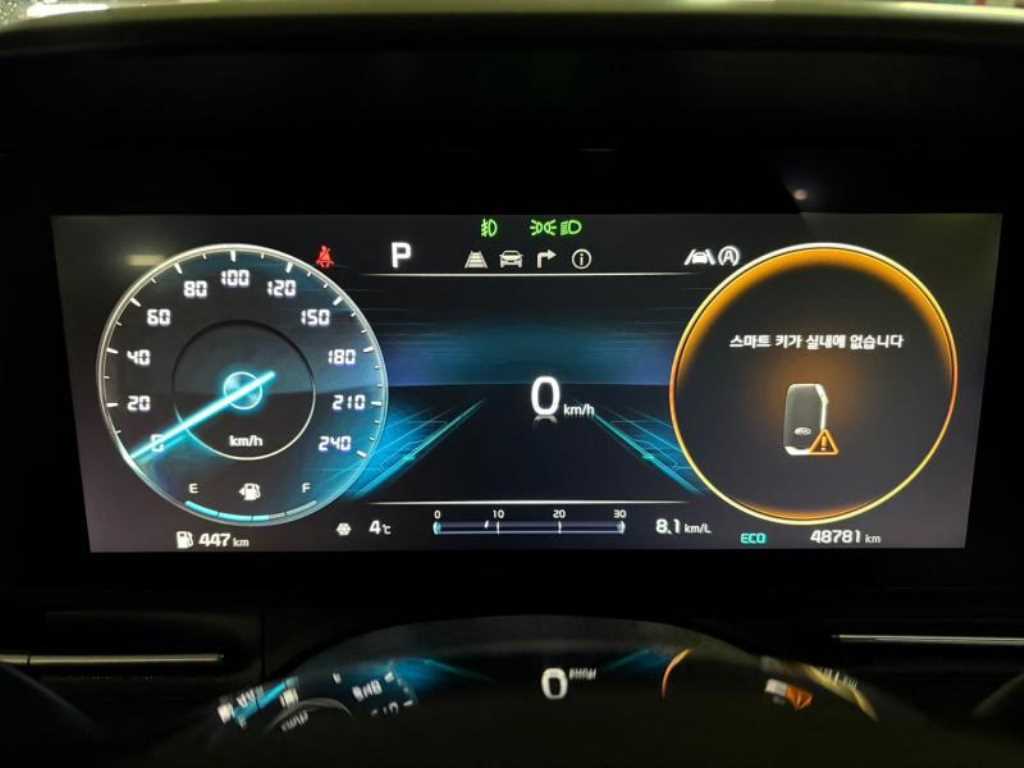 KIA Carnival - Vista 8