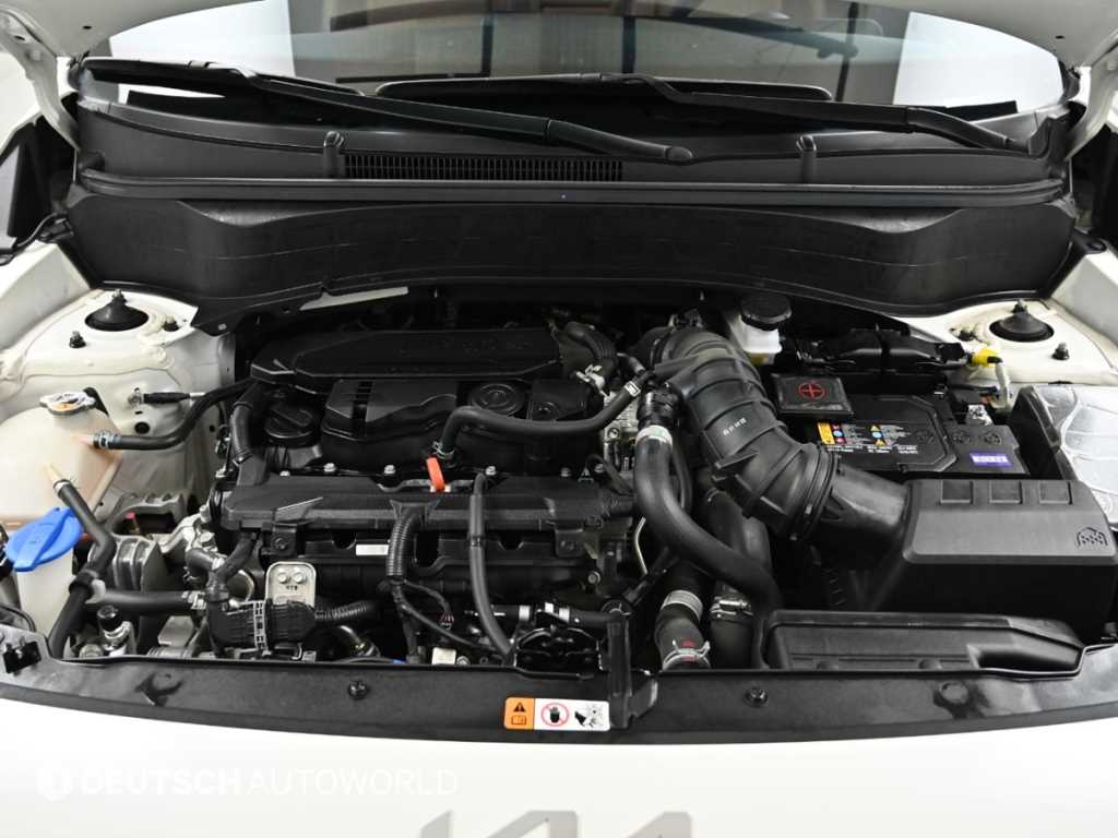 KIA Seltos - Vista 6