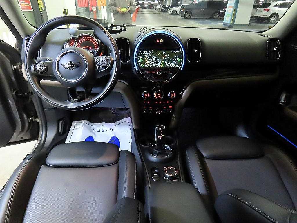 Mini Countryman - Vista 10
