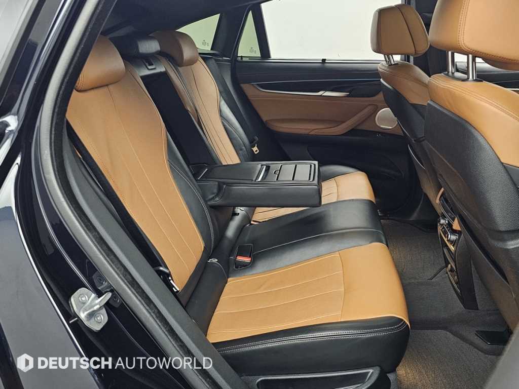 BMW X6 - Vista 12