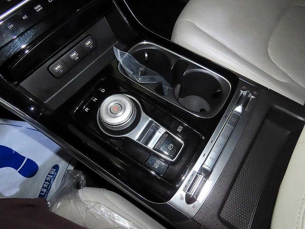 KIA Carnival - Vista 12