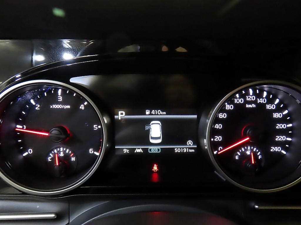 KIA Carnival - Vista 9