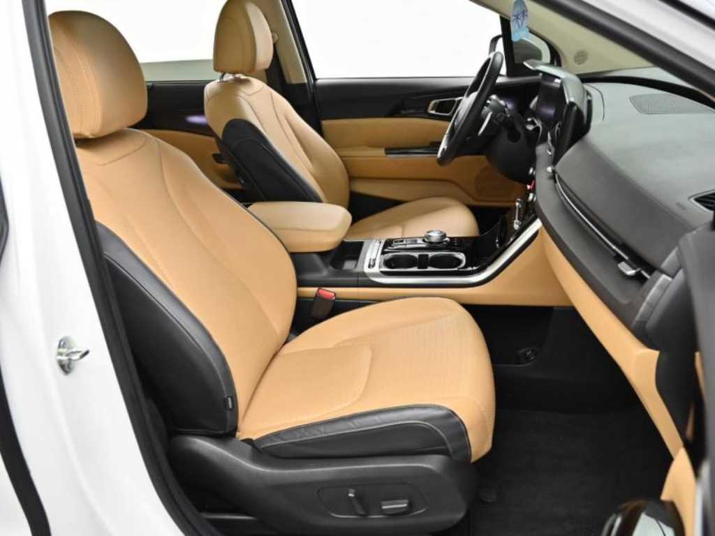 KIA Carnival - Vista 10