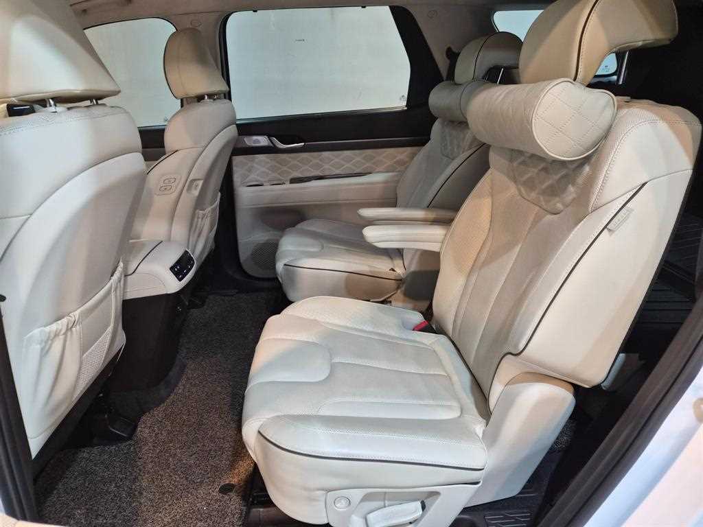 HYUNDAI Palisade - Vista 6