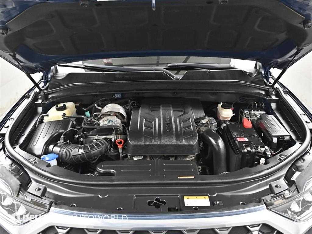 Ssangyong Rexton - Vista 6