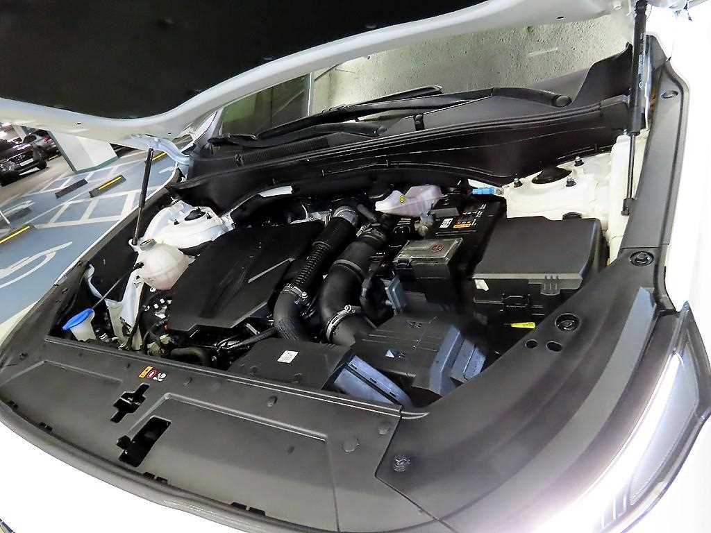 HYUNDAI Santa Fe 2021 Blanco - Importación desde Corea - HF Imports Iquique - Foto 19