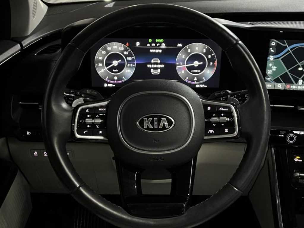 KIA Carnival - Vista 12