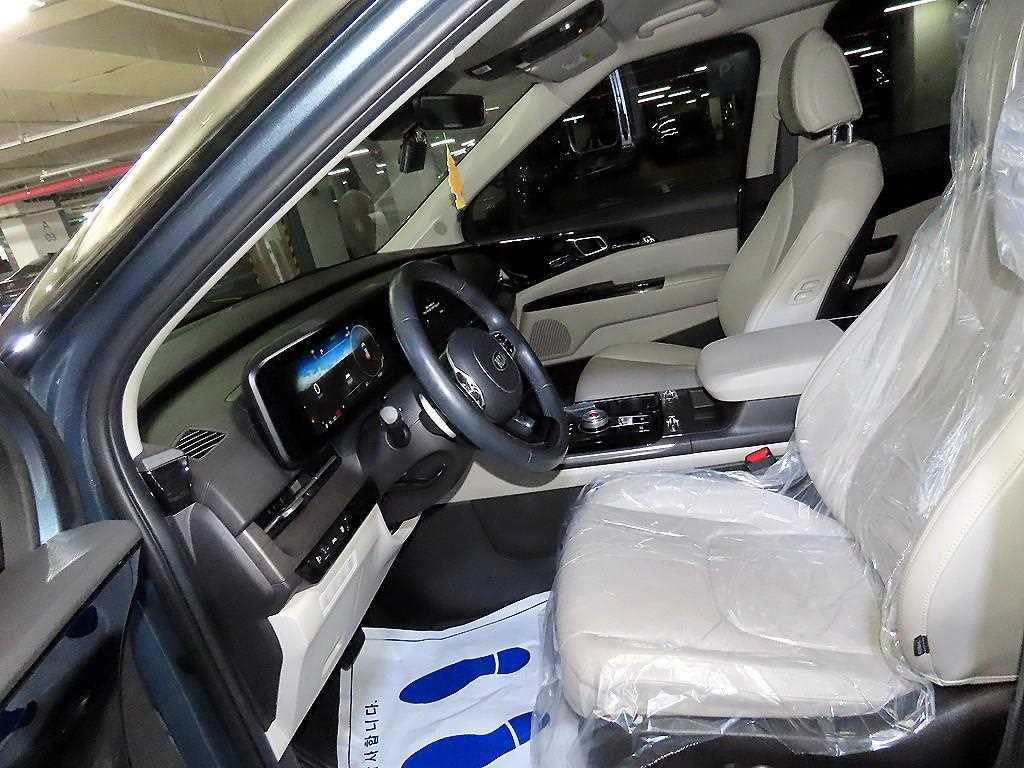 KIA Carnival - Vista 6