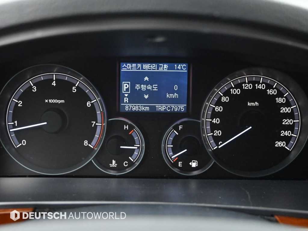 Ssangyong Chairman - Vista 8