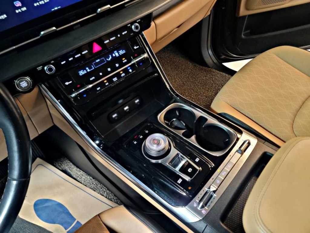 KIA Carnival - Vista 10