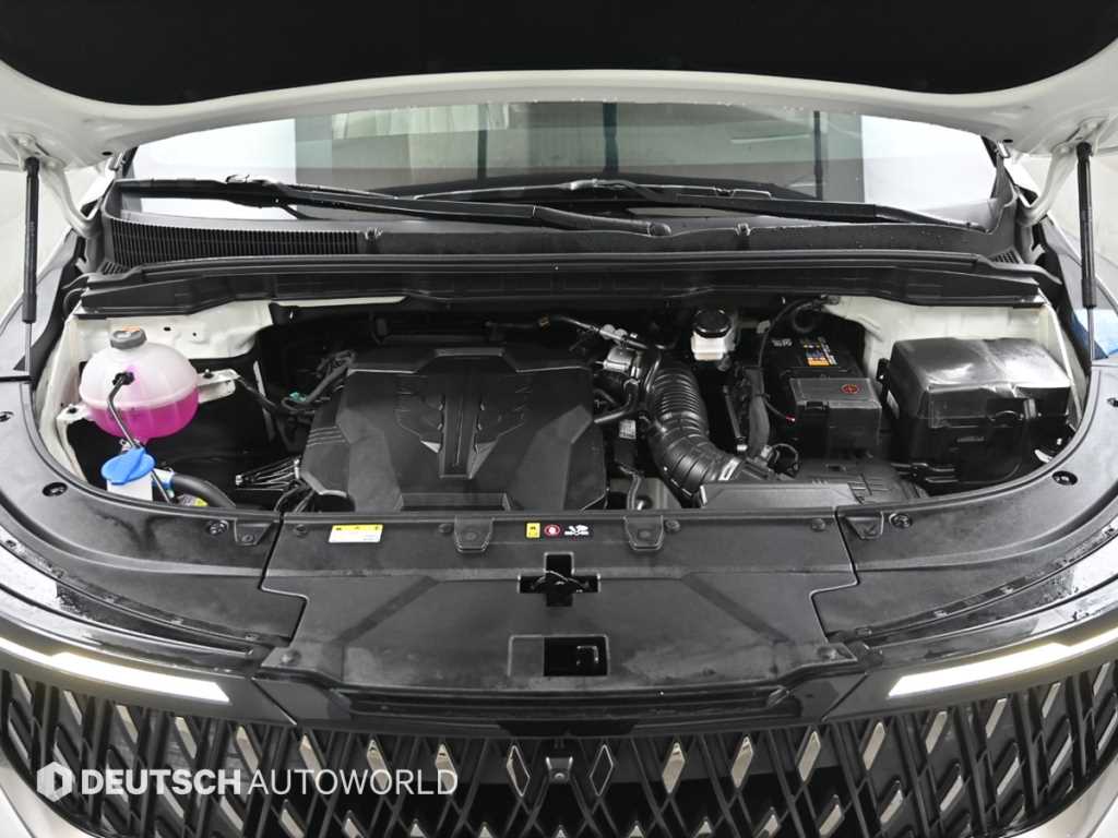 KIA Carnival - Vista 6