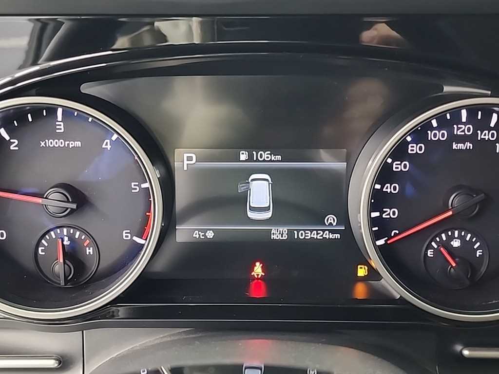 KIA Carnival - Vista 6