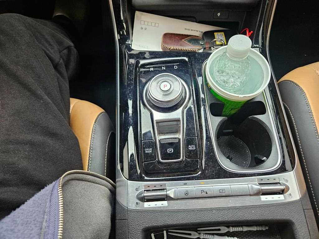 KIA Carnival - Vista 8