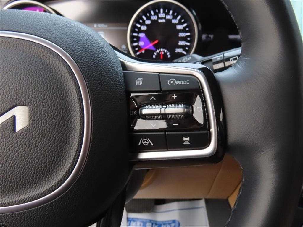 KIA Carnival - Vista 11