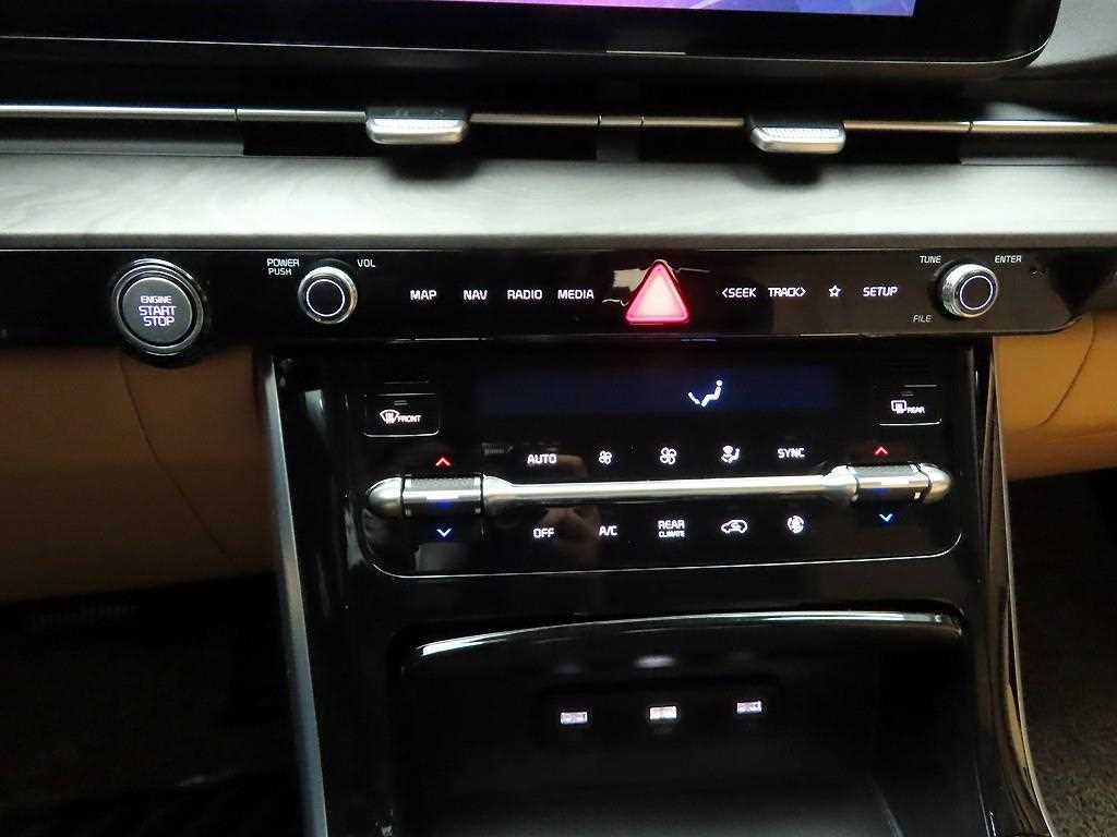 KIA Carnival - Vista 9