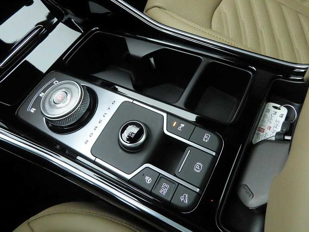 KIA Sorento - Vista 11