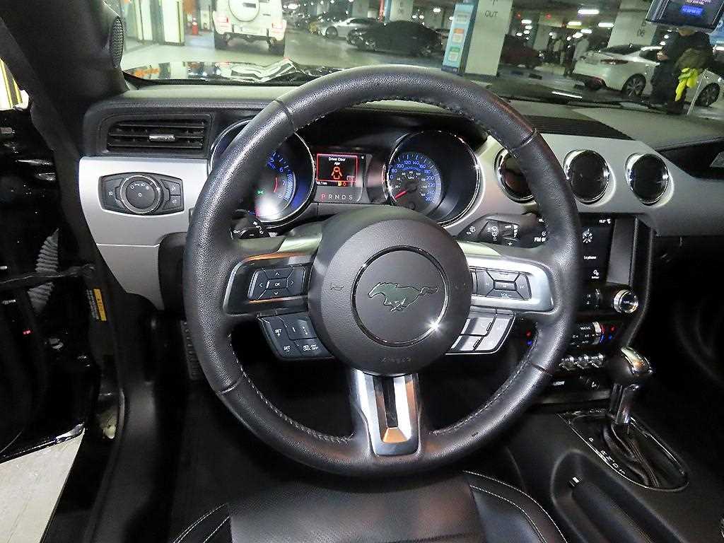 Ford Mustang - Vista 9