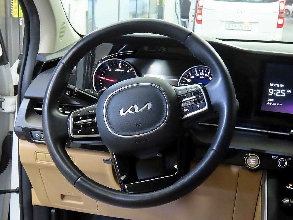 KIA Carnival - Vista 8