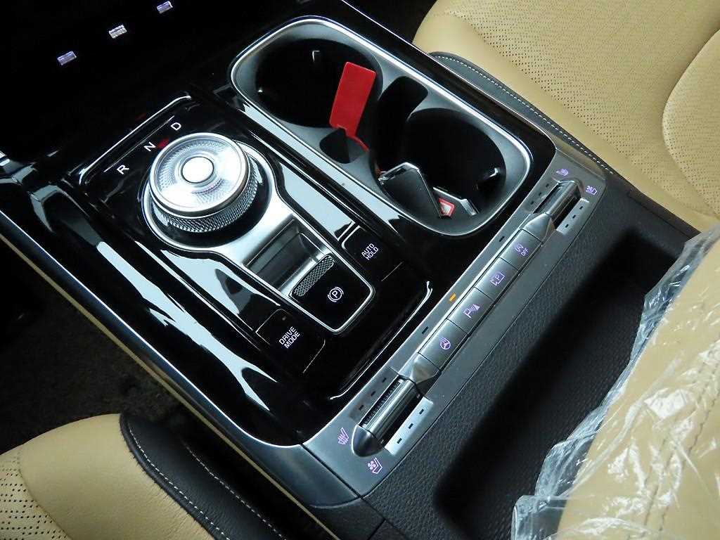 KIA Carnival - Vista 10