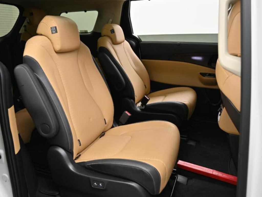 KIA Carnival - Vista 12