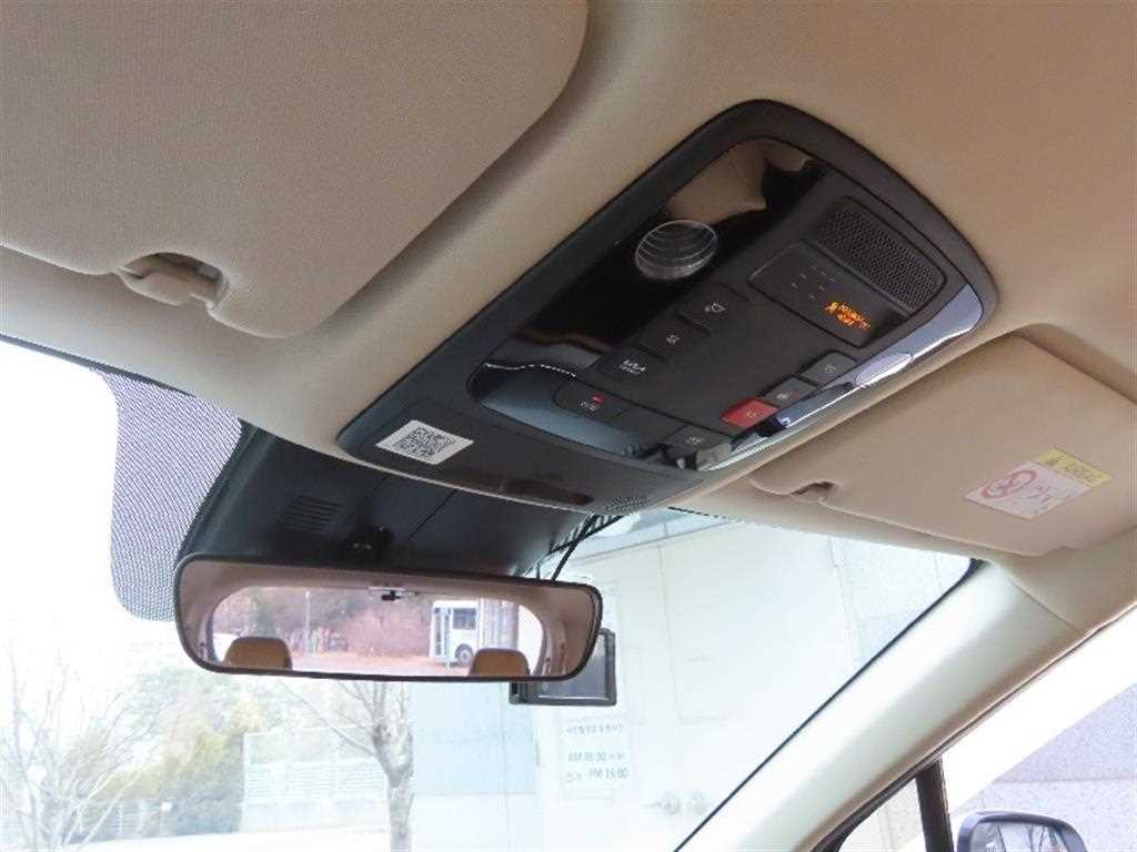 KIA Carnival - Vista 10