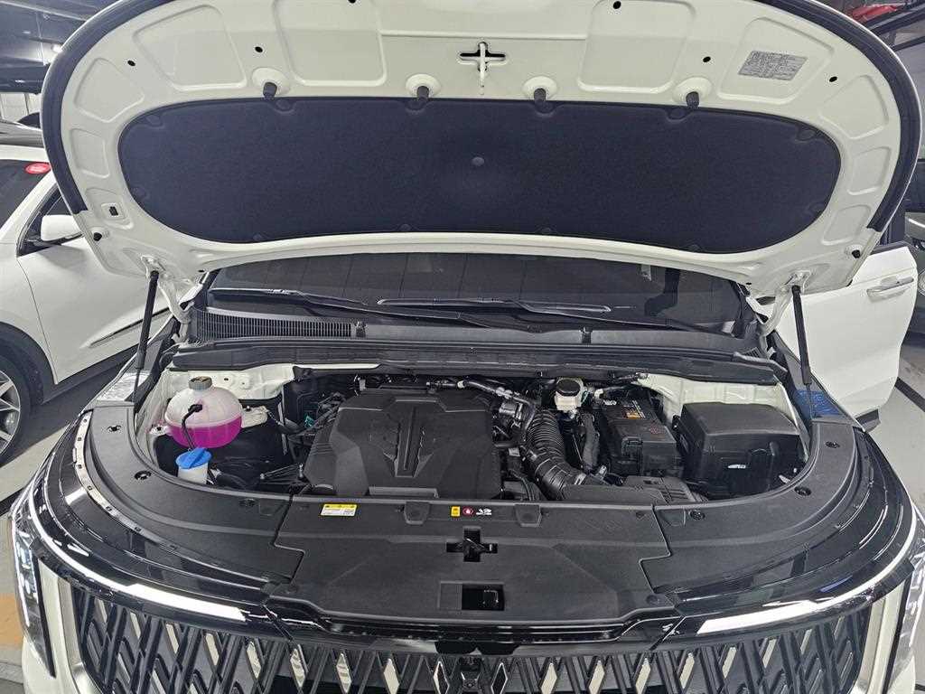 KIA Carnival - Vista 9