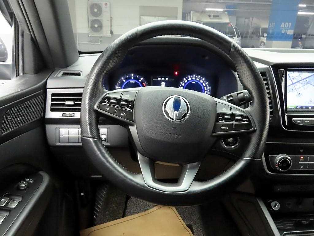 Ssangyong Rexton - Vista 8