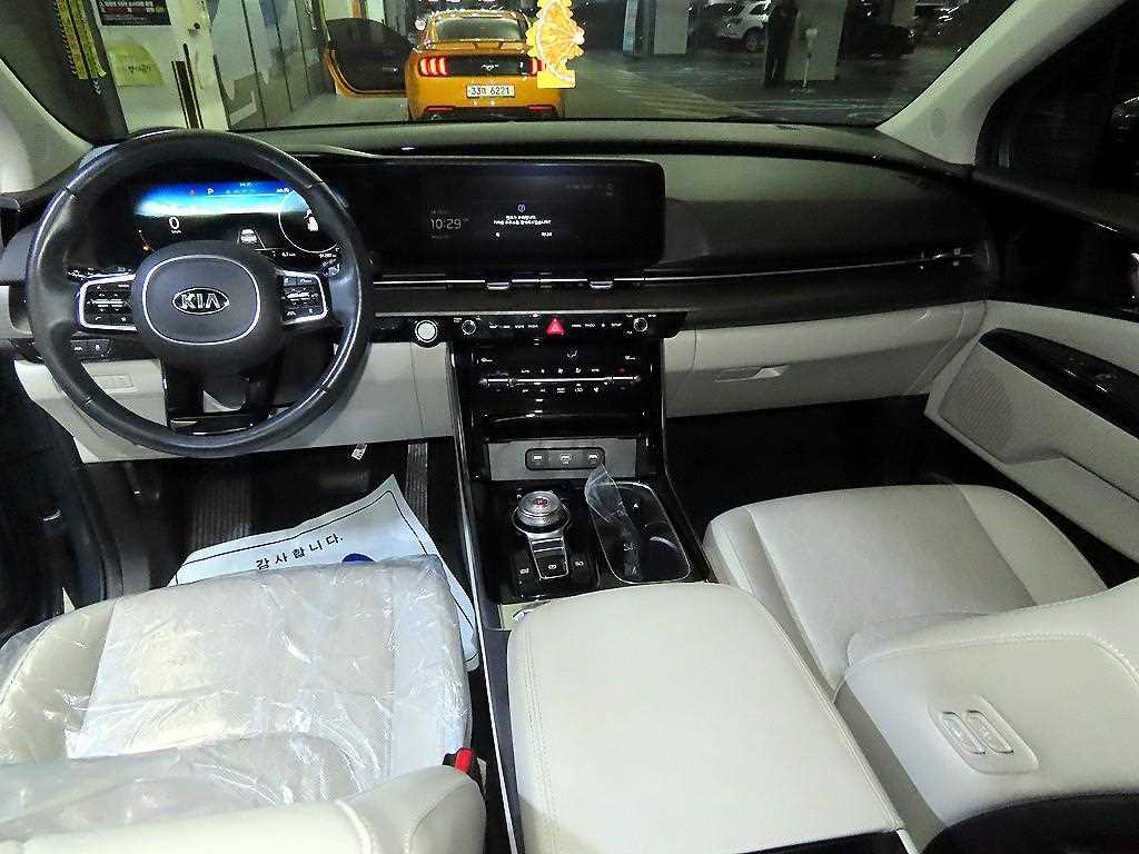 KIA Carnival - Vista 10