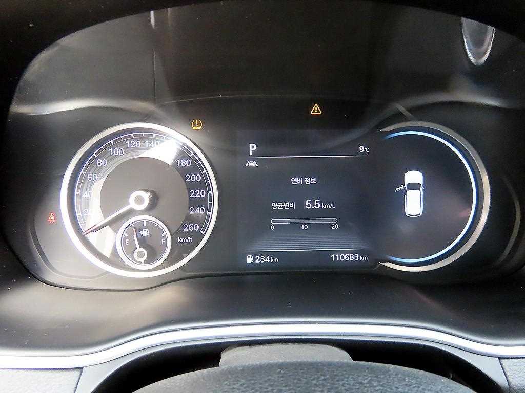 Genesis GV80 - Vista 9