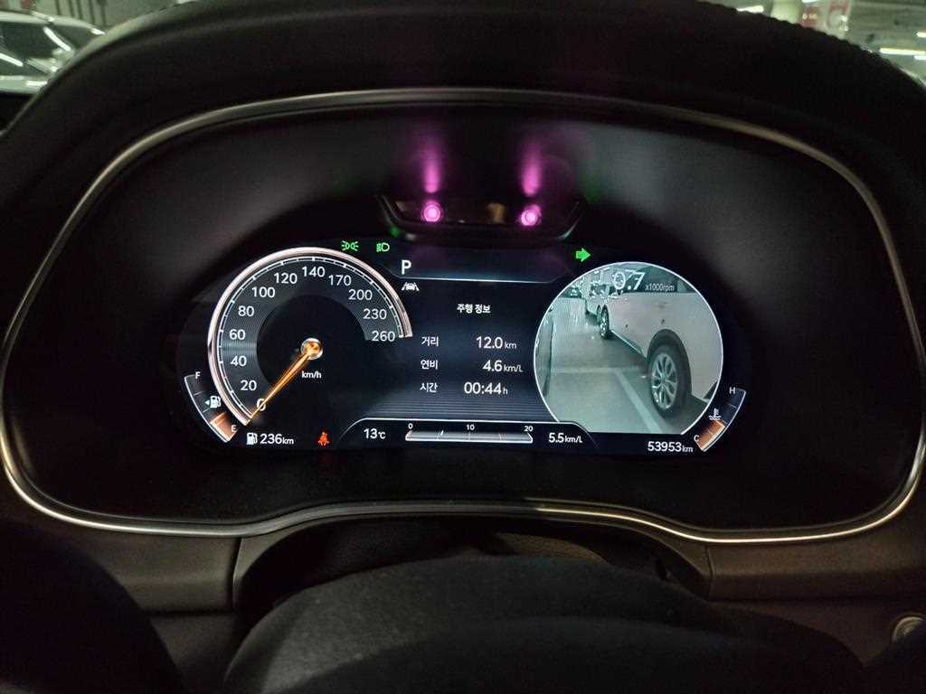 Genesis GV80 - Vista 10