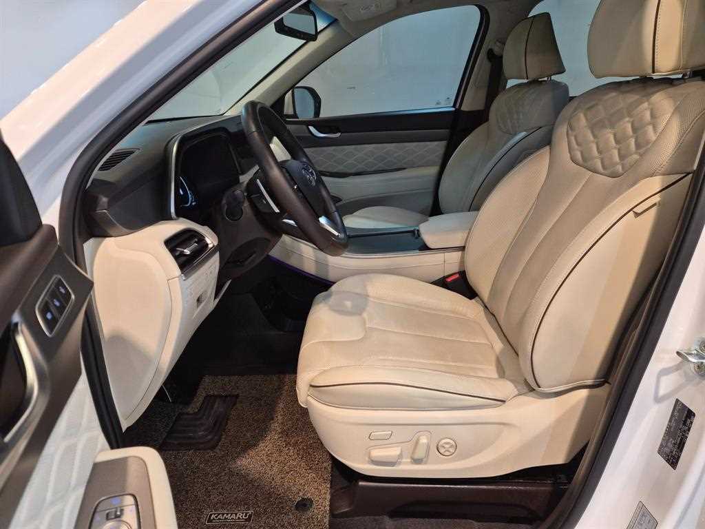 HYUNDAI Palisade - Vista 10