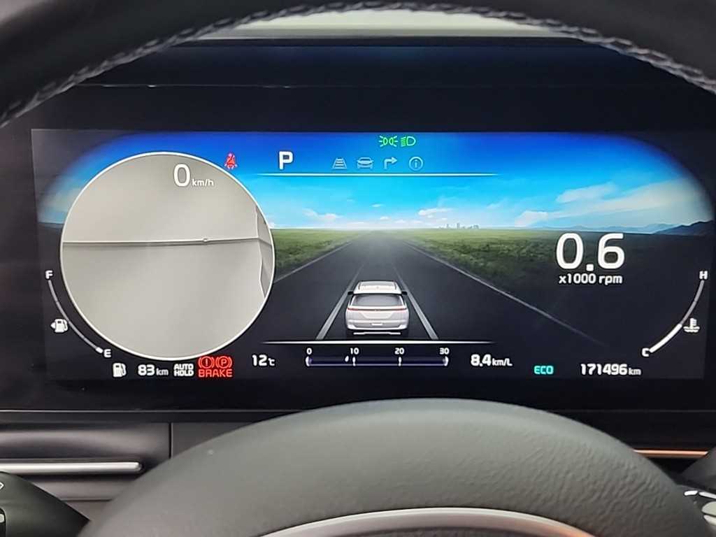 KIA Carnival - Vista 6