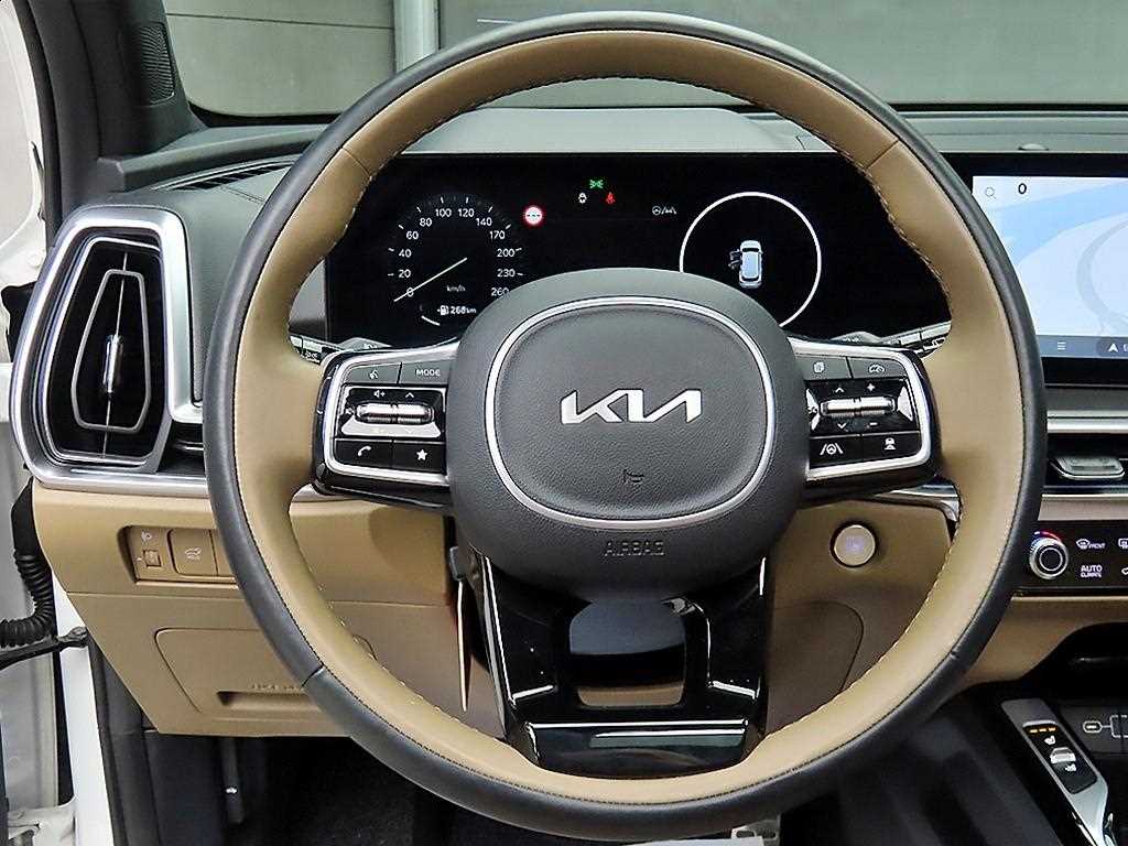KIA Sorento - Vista 9