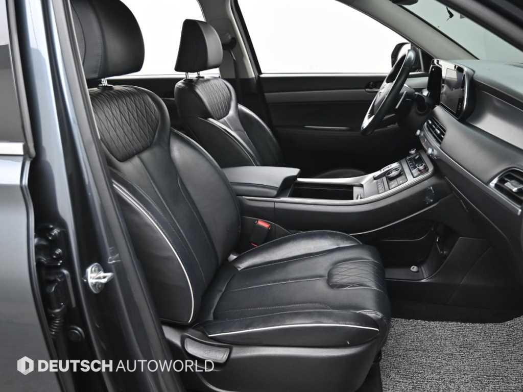 HYUNDAI Palisade - Vista 10