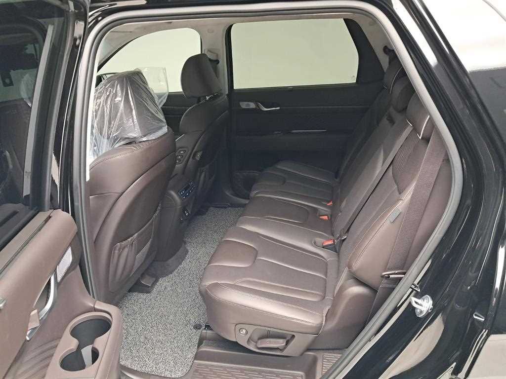 HYUNDAI Palisade - Vista 12