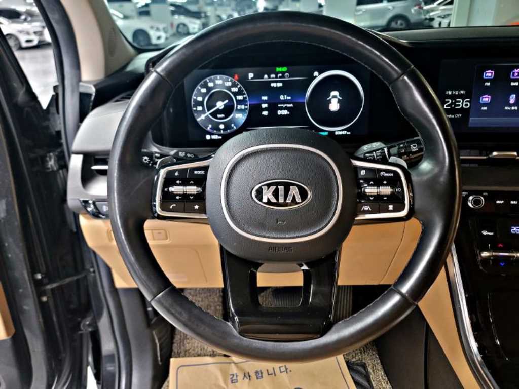 KIA Carnival - Vista 6