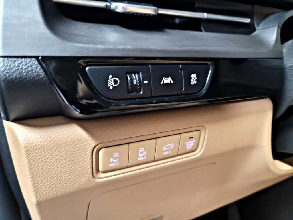 KIA Carnival - Vista 12