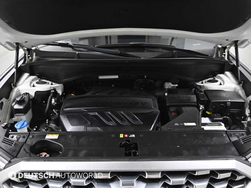 HYUNDAI Palisade - Vista 6