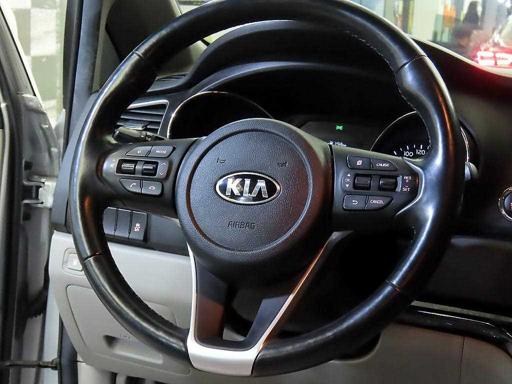KIA Carnival - Vista 8