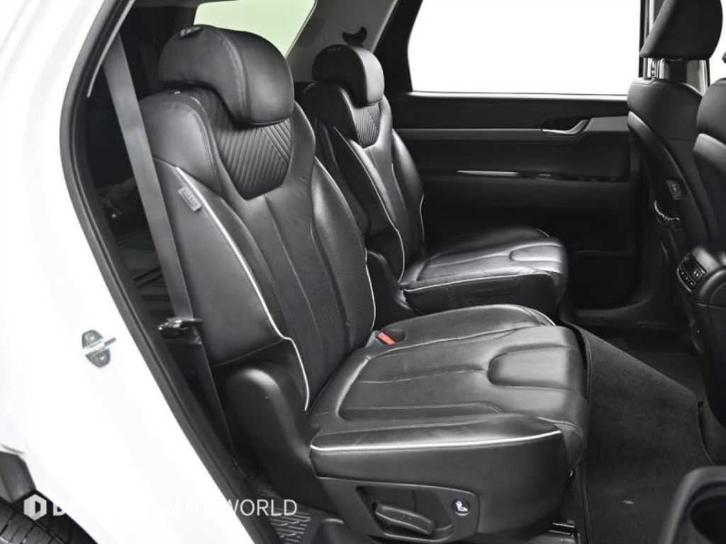 HYUNDAI Palisade - Vista 12