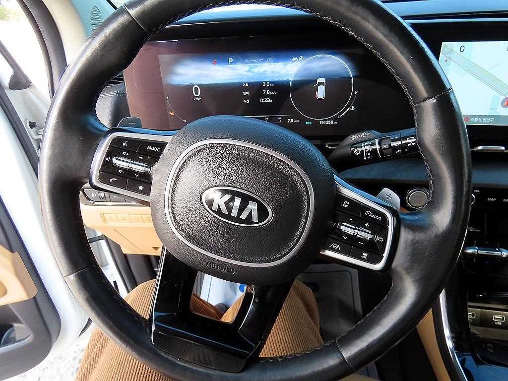 KIA Carnival - Vista 9