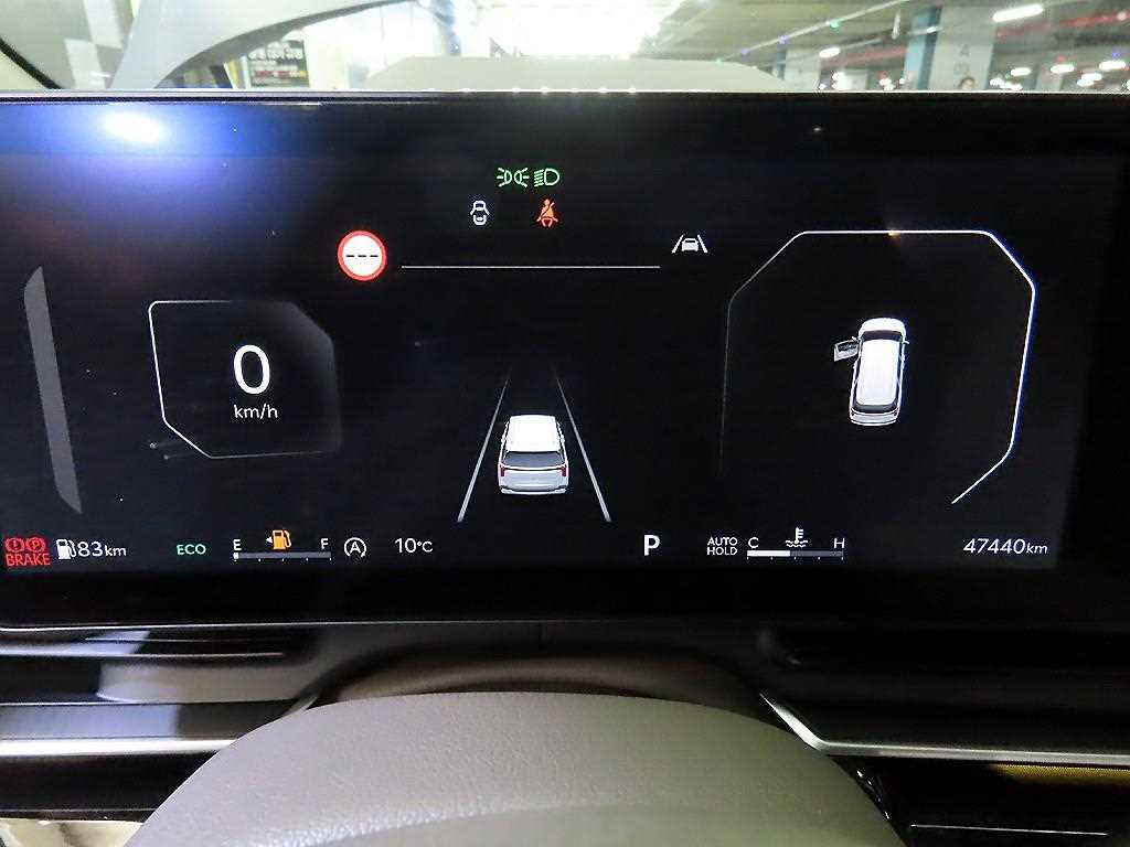 KIA Carnival - Vista 8